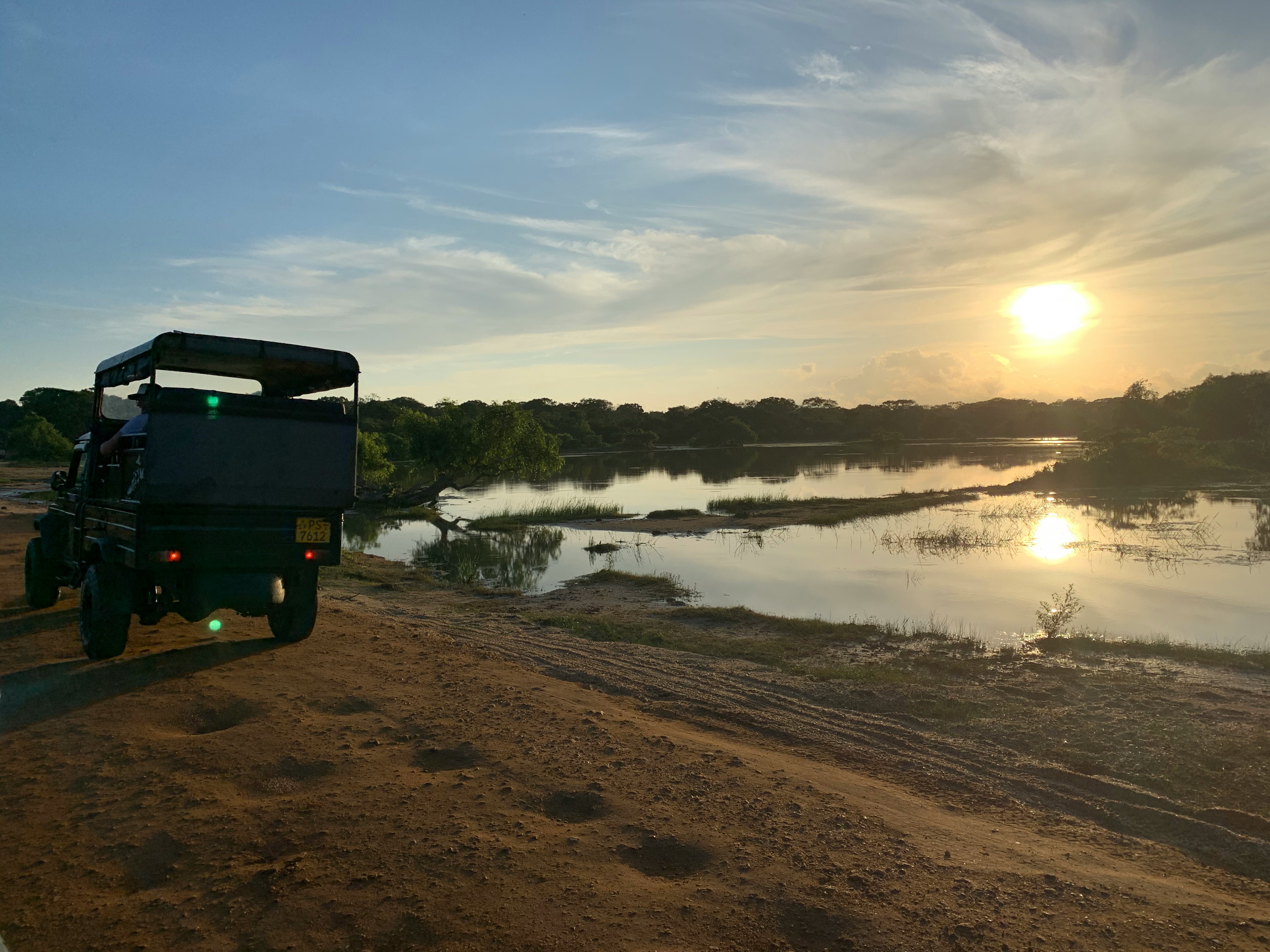 Group Safari — Half Day